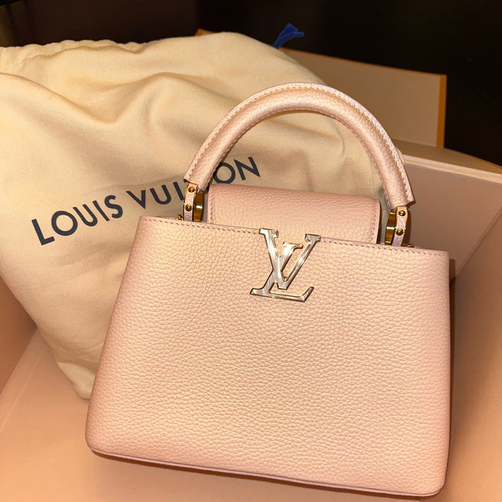 RARE LOUIS VUITTON CAPUCINES LEATHER HANDBAG